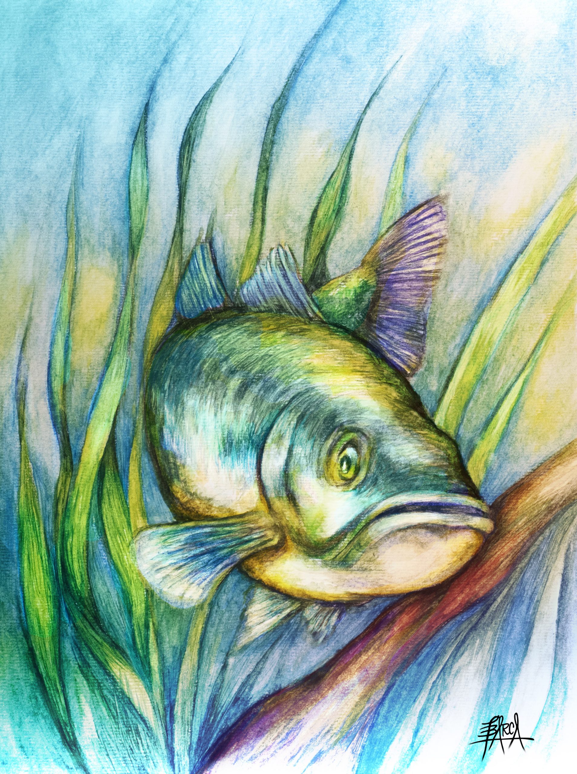 BASS FISH 1_sig