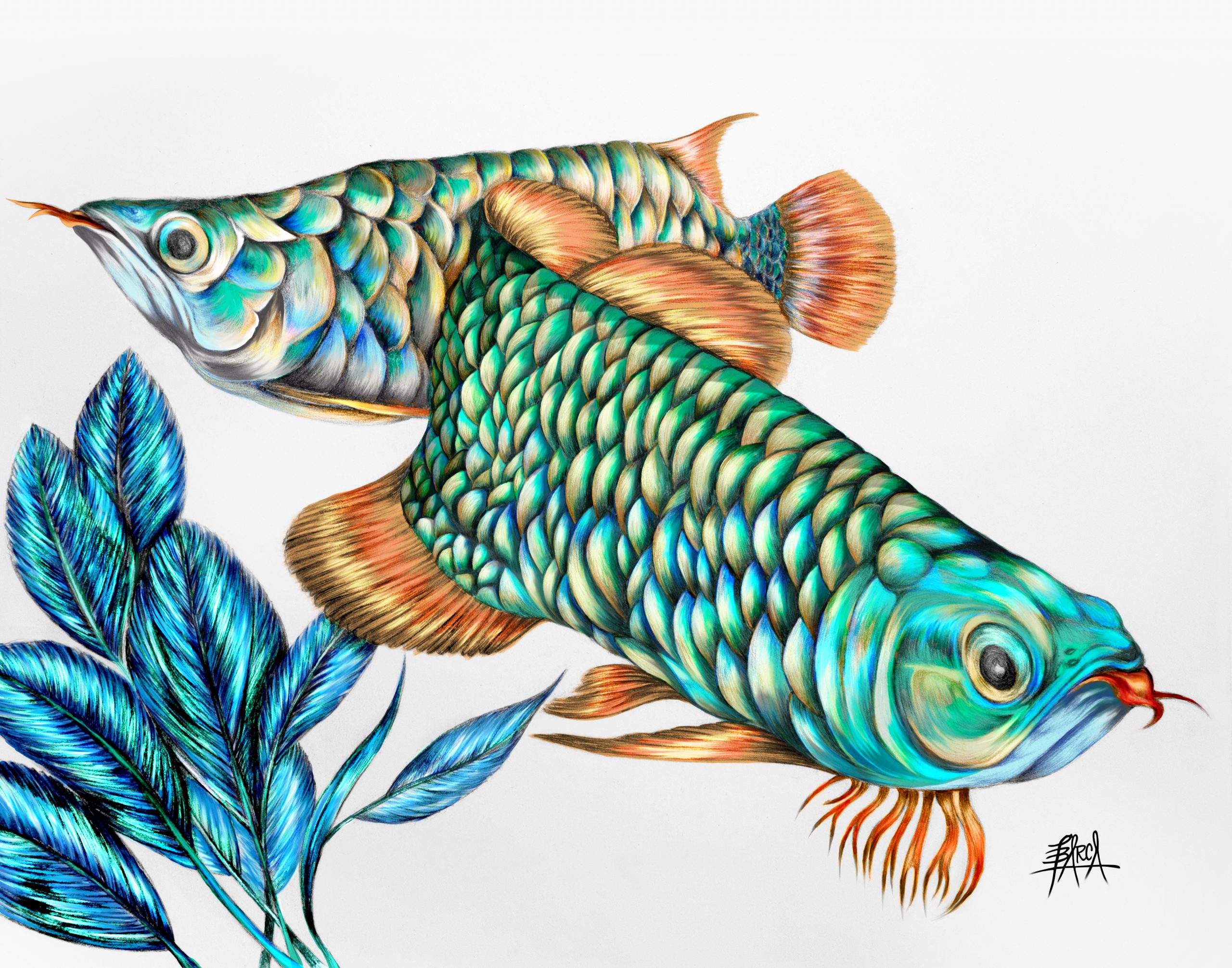 FISH PISCES 2 COLOR_SIG