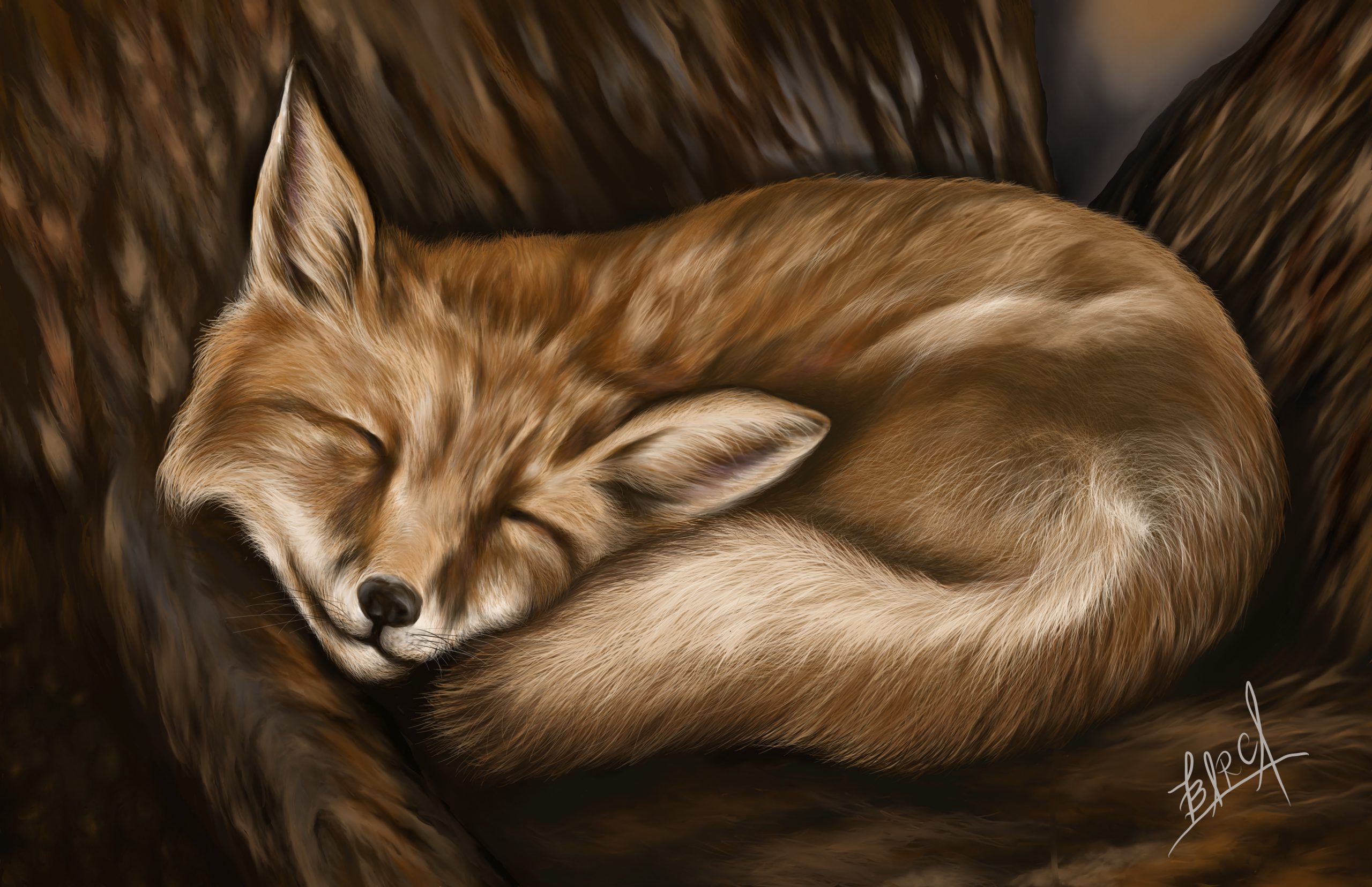 Fox_Sleeping-1-scaled