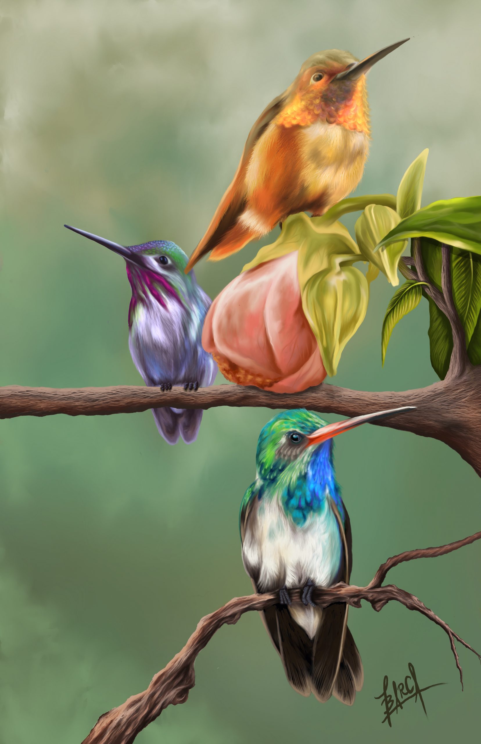 Hummingbirds_-1-scaled