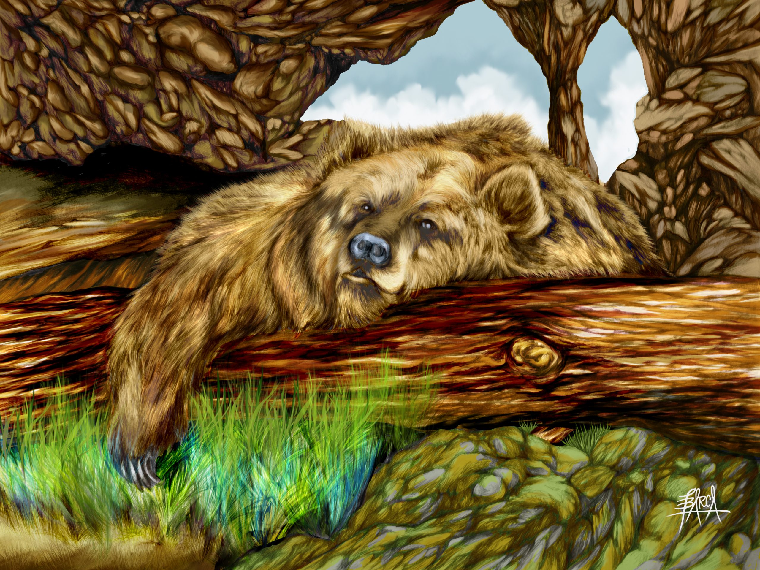 LAZY BEAR 1_COLOR_SIG