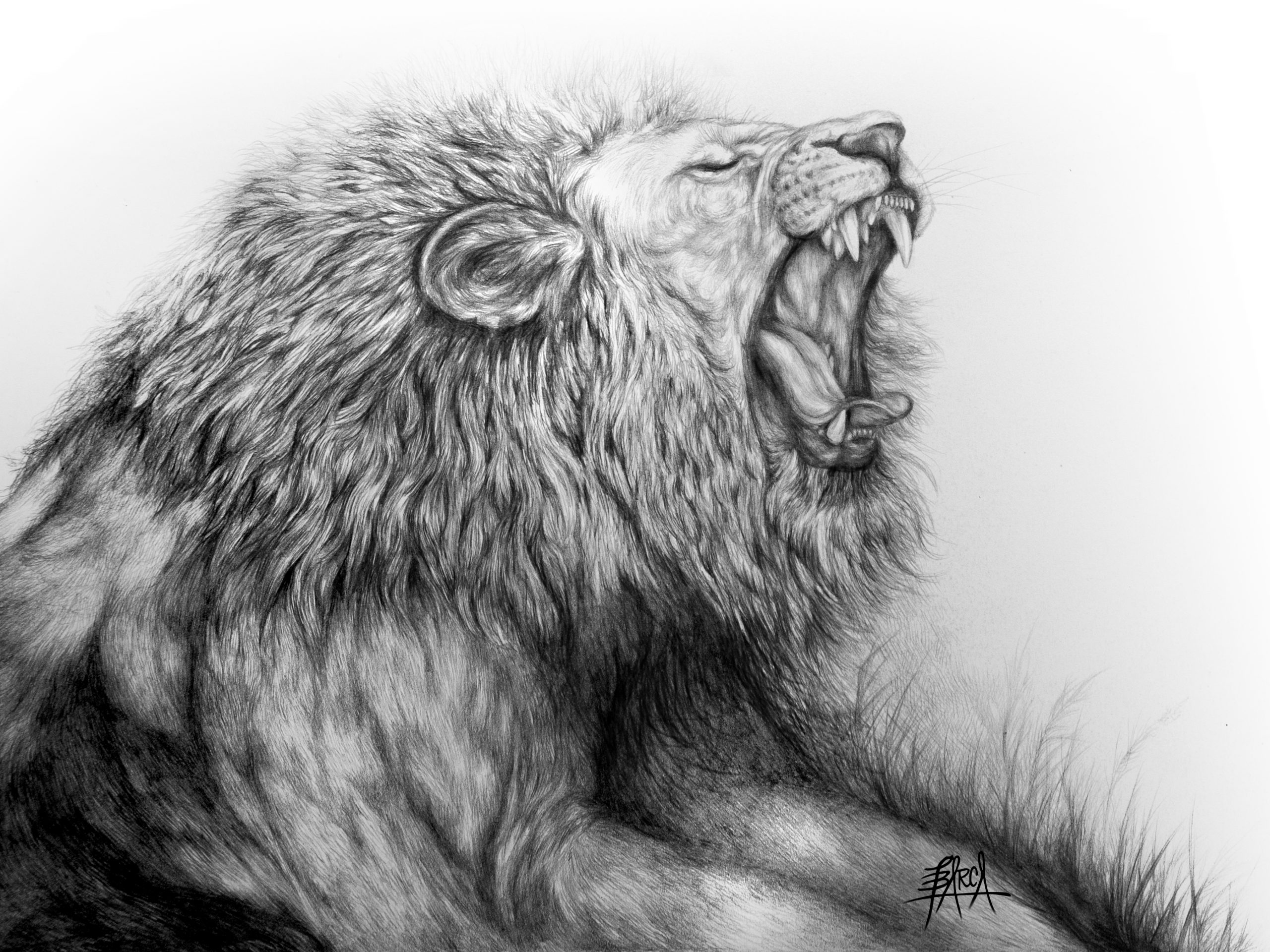 LION ROAR 1_SIG